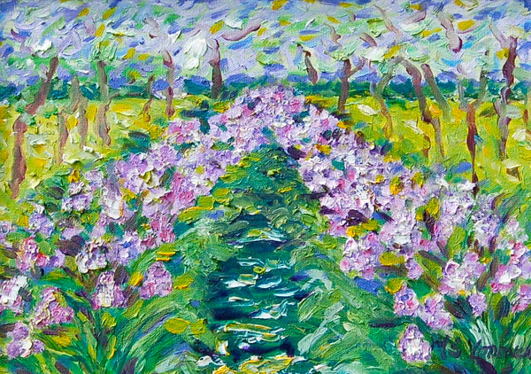 Iris of Provence