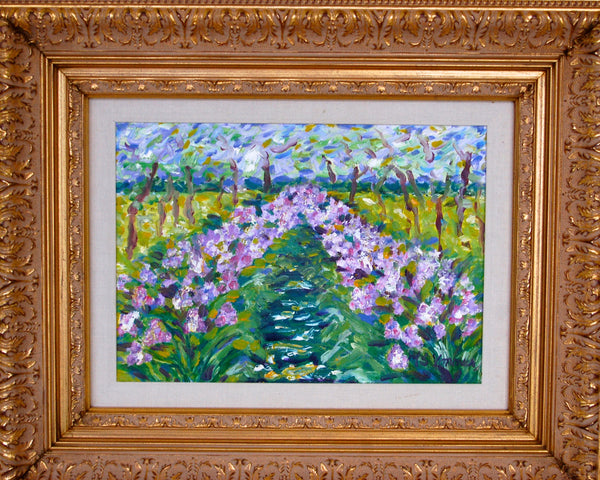 Iris of Provence