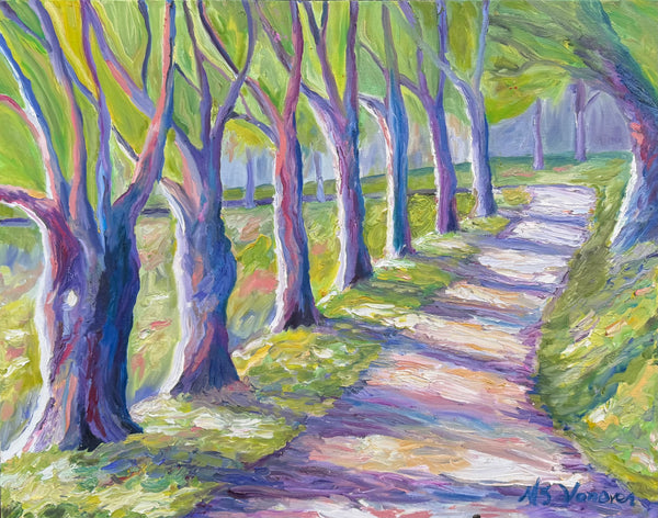 Trail at Bass Lake, West, Blowing Rock