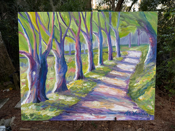 Trail at Bass Lake, West, Blowing Rock